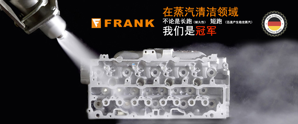 德国FRANK(福兰克)Frank 非标定制蒸汽清洗系统